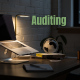 CTA Auditing Full Year Syllabus- RemNotes