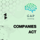 The Companies Act (Flow-Style)