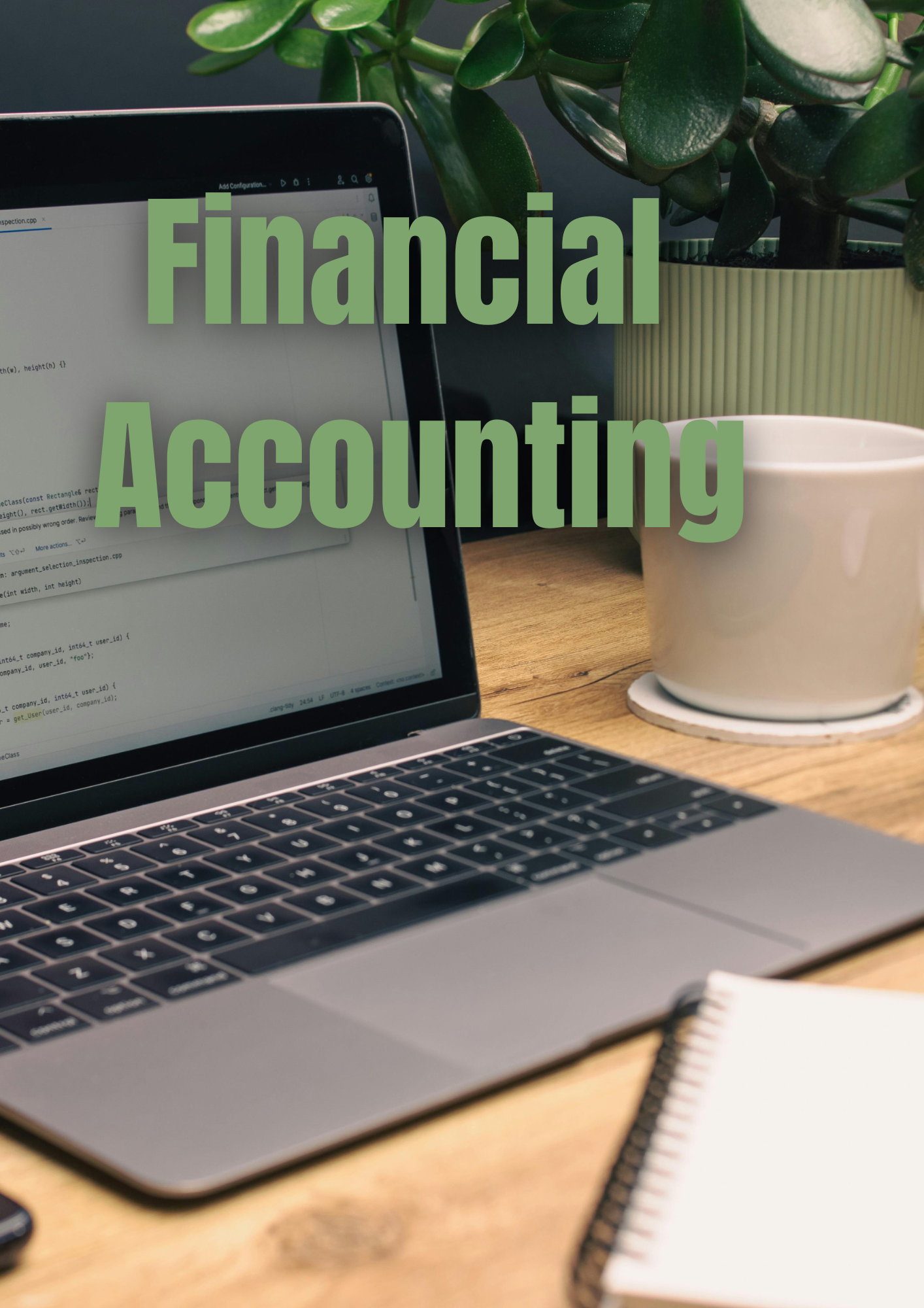 3rd year Financial Accounting